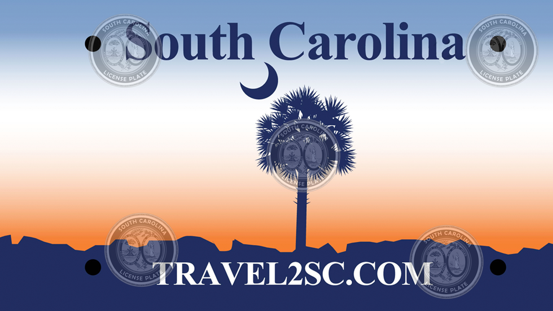 License Plate Sticker in South Carolina Purpose and Requirements